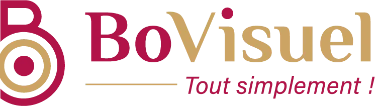 logo bovisuel